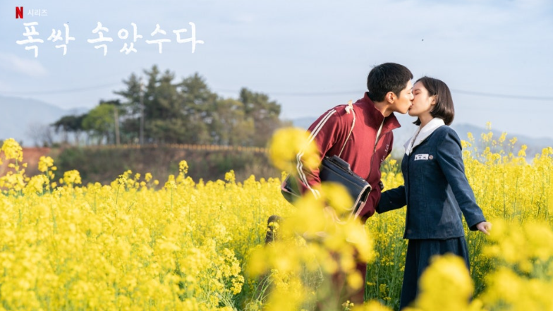 넷플릭스 시리즈 **'폭싹 속았수다'**의 한 장면으로, 두 주인공의 풋풋하고 아름다운 사랑의 순간을 포착했습니다.